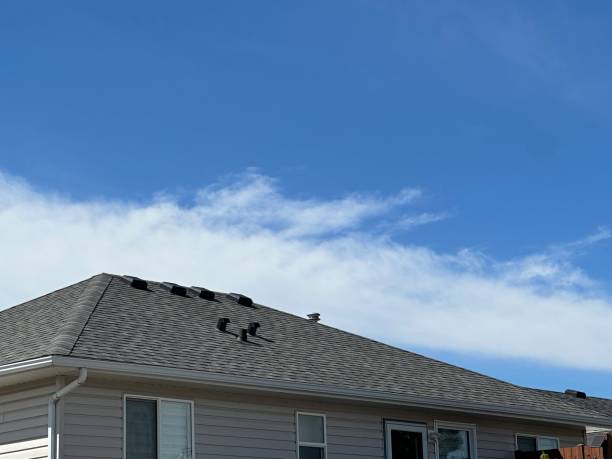 Best Commercial Roofing Services  in Carlinvle, IL